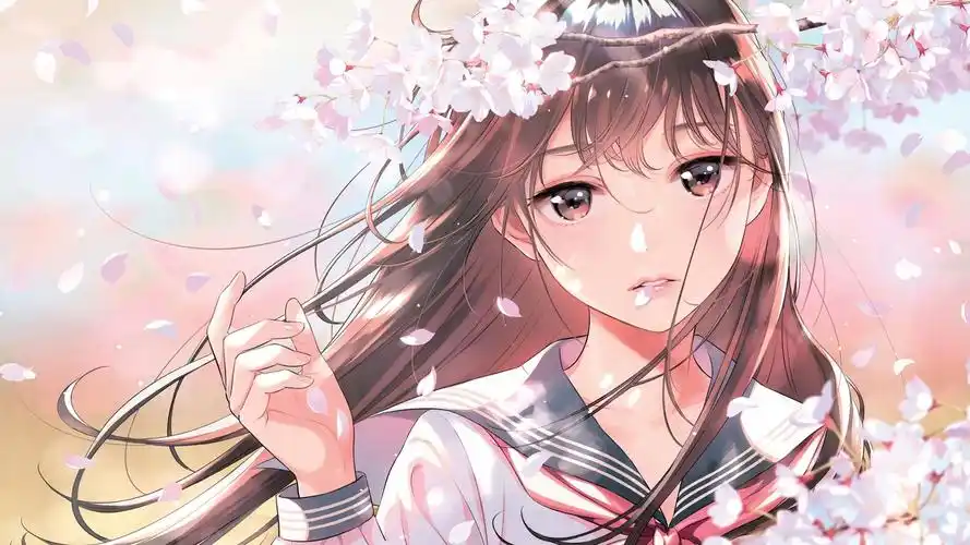 姐姐电影精选画面合集